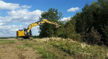 Excavator clearing a tree line